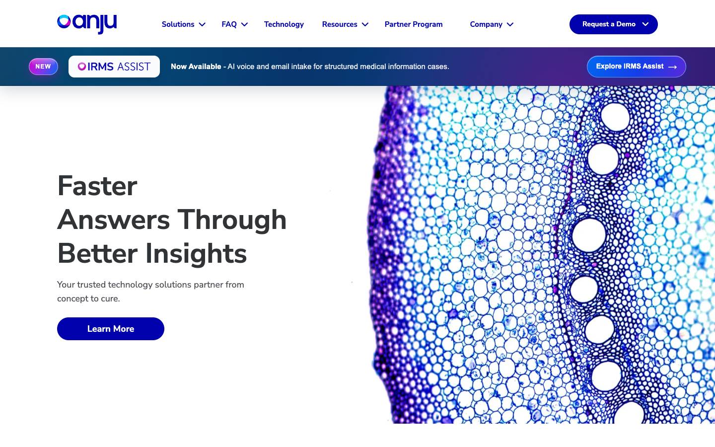 Anju Software's homepage, as read on Oct 2, 2026