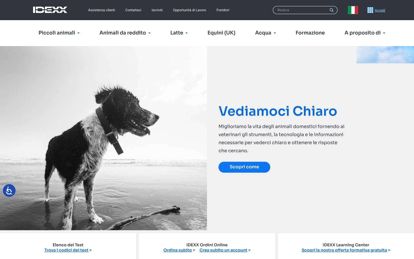 IDEXX's homepage, as read on Oct 2, 2026