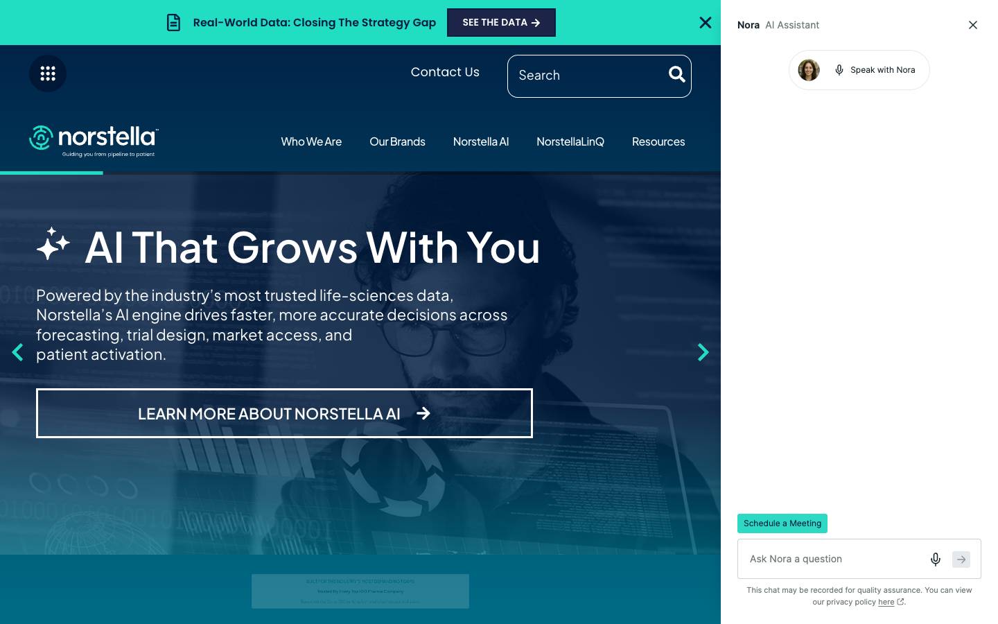 Norstella's homepage, as read on Oct 2, 2026